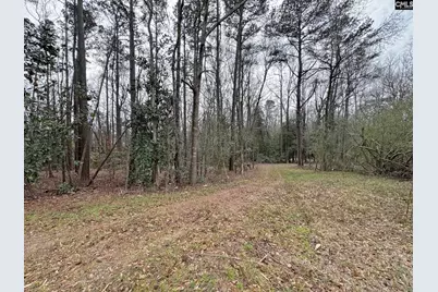 0 Tall Timber Drive, Leesville, SC 29070 - Photo 22