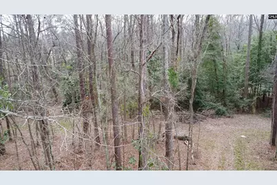 0 Tall Timber Drive, Leesville, SC 29070 - Photo 6