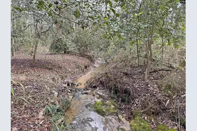 0 Tall Timber Drive, Leesville, SC 29070 - Photo 16