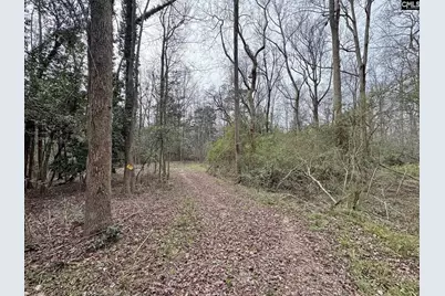 0 Tall Timber Drive, Leesville, SC 29070 - Photo 20