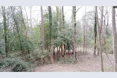 0 Tall Timber Drive, Leesville, SC 29070 - Photo 10
