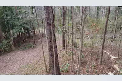 0 Tall Timber Drive, Leesville, SC 29070 - Photo 8