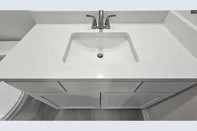 268 Sunny Hill Drive, Blythewood, SC 29016 - Photo 42