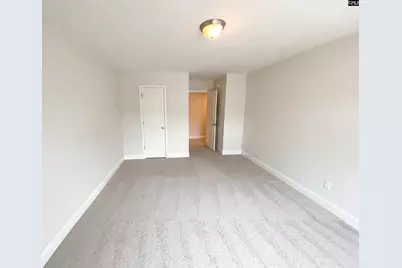 243 Meadow Saffron Drive, Lexington, SC 29073 - Photo 18