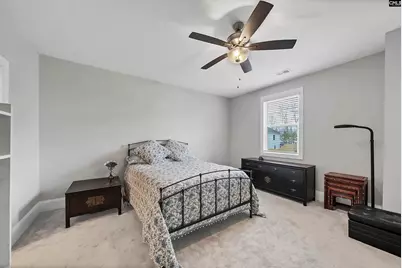 143 Collins Cove Drive, Chapin, SC 29036 - Photo 16