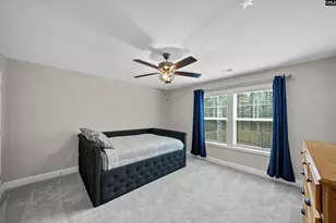 143 Collins Cv Dr, Chapin, SC 29036 - Photo 34