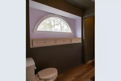 159 Darian Drive, Lexington, SC 29073 - Photo 26