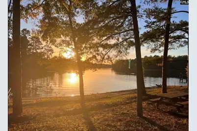 132 Pembroke Lane, Chapin, SC 29036 - Photo 2