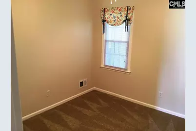 241 Teesdale Court, Lexington, SC 29072 - Photo 10
