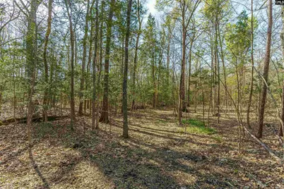 Parcel A Grover Wilson Road, Blythewood, SC 29016 - Photo 10