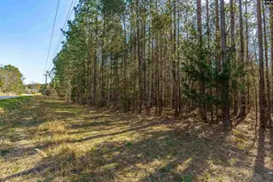 Parcel A Grover Wilson Rd, Blythewood, SC 29016 - Photo 12
