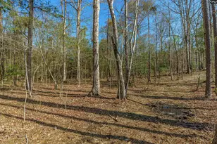 Parcel A Grover Wilson Rd, Blythewood, SC 29016 - Photo 6