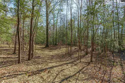 Parcel A Grover Wilson Road, Blythewood, SC 29016 - Photo 8