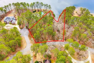 156 Runneymede Dr, Blythewood, SC 29016 - Photo 1