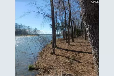 1061 Refuge Place #Lot 30, Chapin, SC 29036 - Photo 4