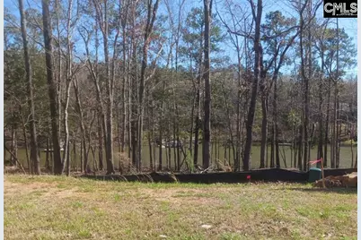 1061 Refuge Place #Lot 30, Chapin, SC 29036 - Photo 10