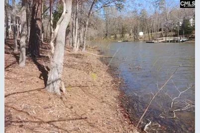 1061 Refuge Place #Lot 30, Chapin, SC 29036 - Photo 8
