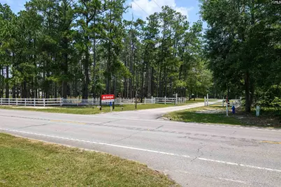 150 Charter Oak Road, Lexington, SC 29072 - Photo 4