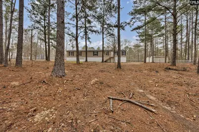 47 Belvis Road, Elgin, SC 29045 - Photo 32