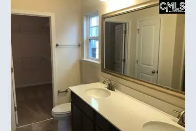 1028 Bergenfield Lane, Chapin, SC 29036 - Photo 8