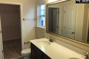 1028 Bergenfield Ln, Chapin, SC 29036 - Photo 8