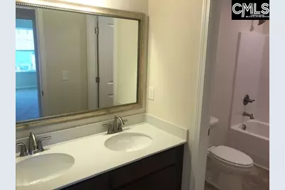 1028 Bergenfield Lane, Chapin, SC 29036 - Photo 16