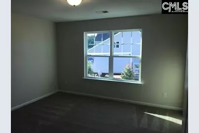 1028 Bergenfield Lane, Chapin, SC 29036 - Photo 14