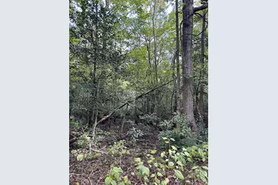 8200 Salem Road, New Zion, SC 29111 - Photo 10