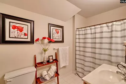 215 Westridge Court, Chapin, SC 29036 - Photo 48