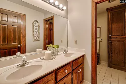 215 Westridge Court, Chapin, SC 29036 - Photo 54