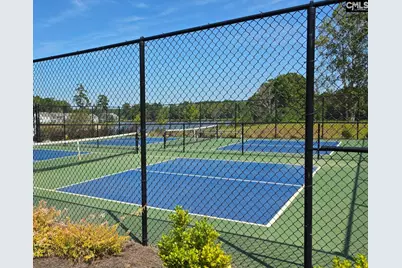 525 Carters Grove Road, Blythewood, SC 29016 - Photo 30