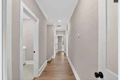 1008 Refuge Place, Chapin, SC 29036 - Photo 30