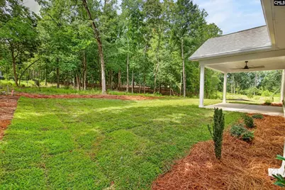1008 Refuge Place, Chapin, SC 29036 - Photo 48