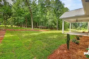 1008 Refuge Pl, Chapin, SC 29036 - Photo 48