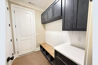 1008 Refuge Place, Chapin, SC 29036 - Photo 24