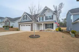 248 Laurelbrook Dr, Chapin, SC 29036 - Photo 4