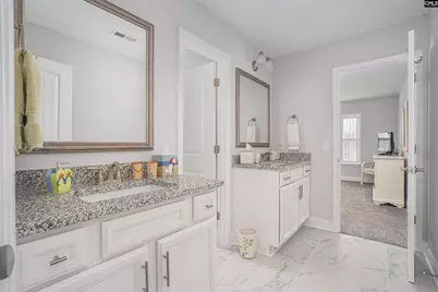 248 Laurelbrook Drive, Chapin, SC 29036 - Photo 34