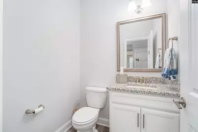 248 Laurelbrook Drive, Chapin, SC 29036 - Photo 16