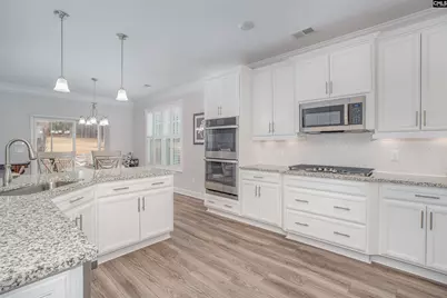 248 Laurelbrook Drive, Chapin, SC 29036 - Photo 12