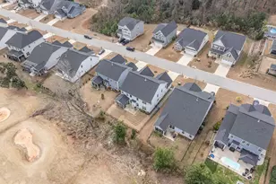 248 Laurelbrook Dr, Chapin, SC 29036 - Photo 48