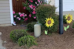 301 Baltica Ln, Irmo, SC 29063 - Photo 24