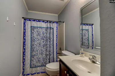 301 Baltica Lane, Irmo, SC 29063 - Photo 16