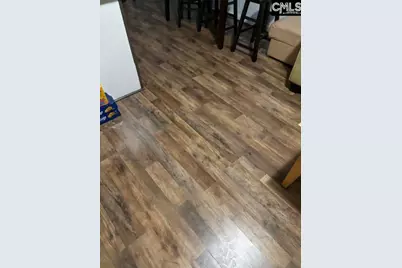 120 Ray Kelly Road, Blythewood, SC 29016 - Photo 10