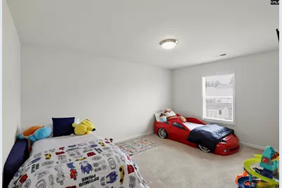 425 Spruce Knob Lane, Blythewood, SC 29016 - Photo 24