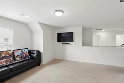 425 Spruce Knob Lane, Blythewood, SC 29016 - Photo 28