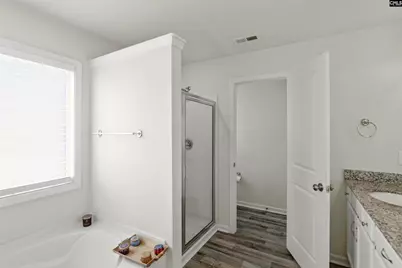 425 Spruce Knob Lane, Blythewood, SC 29016 - Photo 20