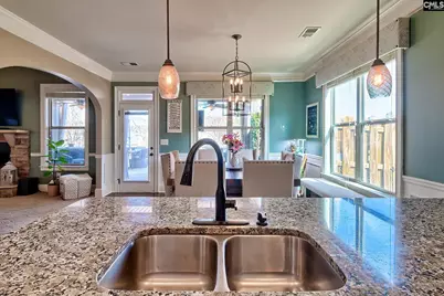 220 Pink Camellia Lane, Lexington, SC 29072 - Photo 16