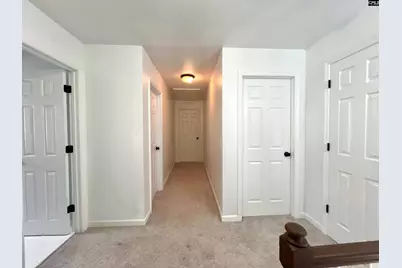 117 Fire Thorn Lane, Columbia, SC 29223 - Photo 44