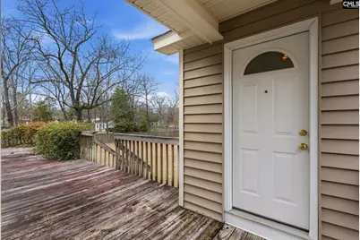 225 Copper Lane, Lexington, SC 29072 - Photo 38