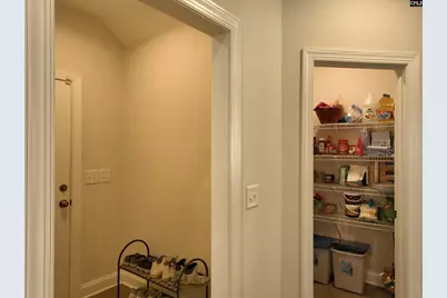 218 Chapin Brooke Court, Chapin, SC 29036 - Photo 36